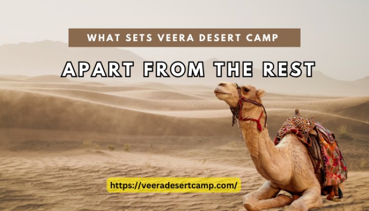 Trends: What Sets Veera Desert Camp Apart from the Rest