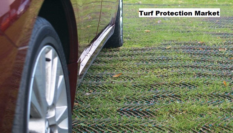 Turf Protection Market Size: Influence of Recreation Sector Growth