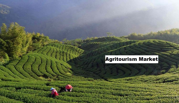 Agritourism Market Growth: Impact of Rapidly Expanding Tourism Industry