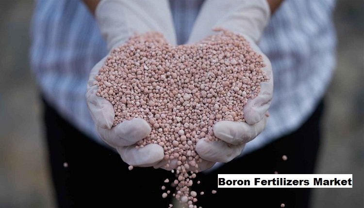 Boron Fertilizers Market Growth: Impact of Expansion in Commercial Farming