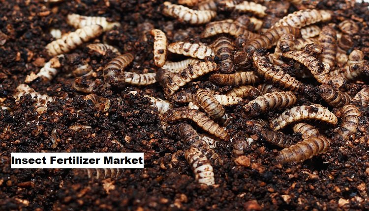 Insect Fertilizer Market Insights: Strategic Initiatives for Environmental Sustainability