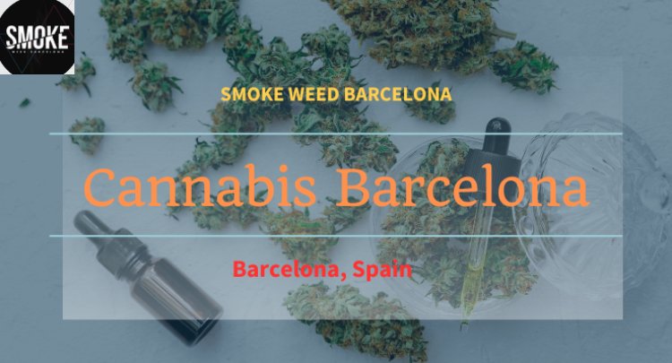 Cannabis Barcelona: The Ultimate Guide by Smoke Weed Barcelona