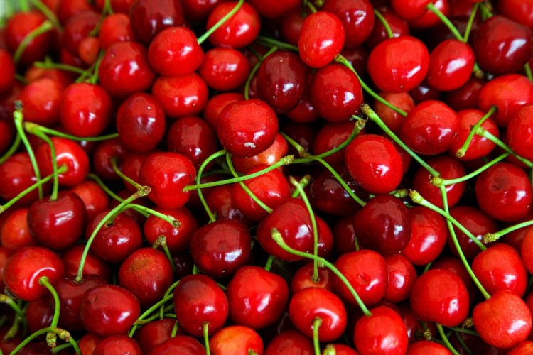 Cherries Market Research and Forecast 2024-2033: Key Growth Segments and Trends