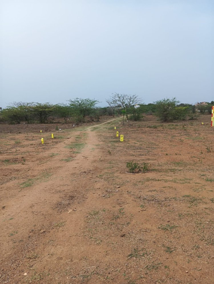 DTCP APPROVED PLOTS FOR SALE AT MAOSUR