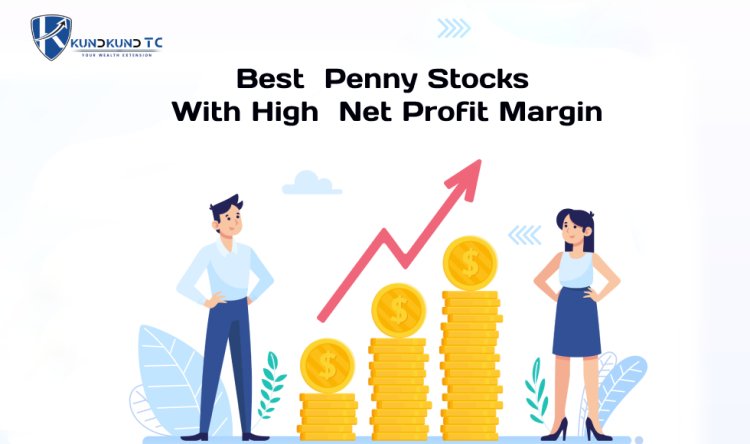 Best Penny Stocks With High Net Profit Margin