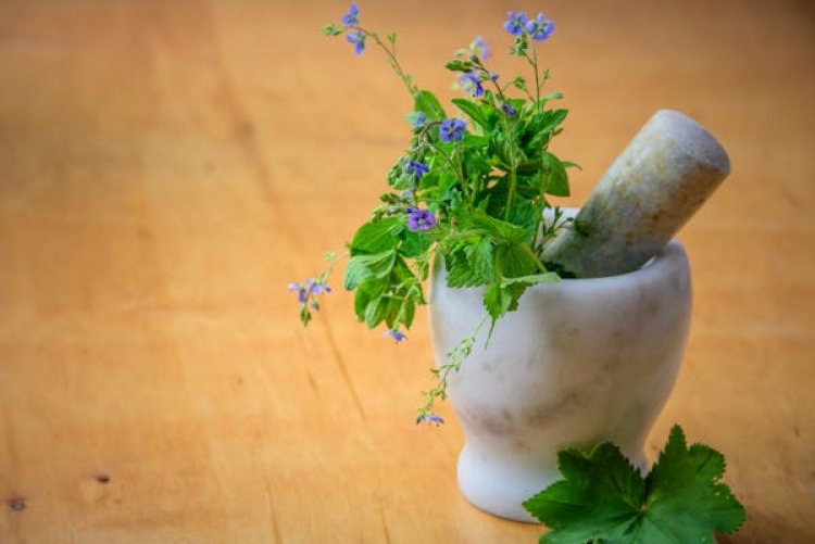 Complementary And Alternative Medicine Global Market 2024 - By Size, Demand, Share, Trends, Forecast To 2033