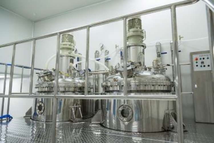 Driving Growth: Biopharmaceutical Fermentation Systems Market Analysis 2024-2033