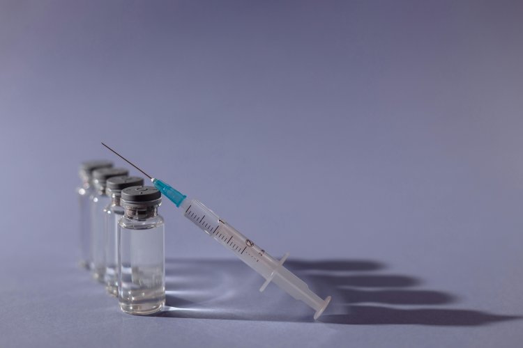 Swine Flu Vaccination Market Outlook, Insights And Overview 2024-2033