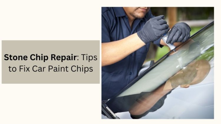 Stone Chip Repair: Tips to Fix Car Paint Chips