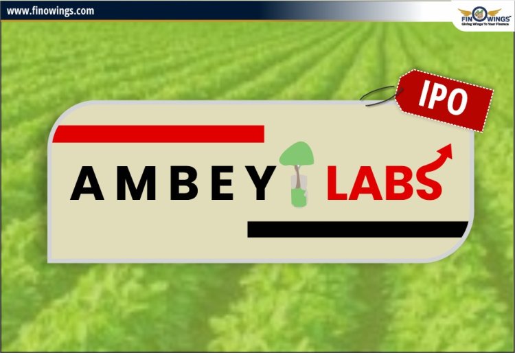 Ambey Laboratories IPO: Review, Complete Analysis