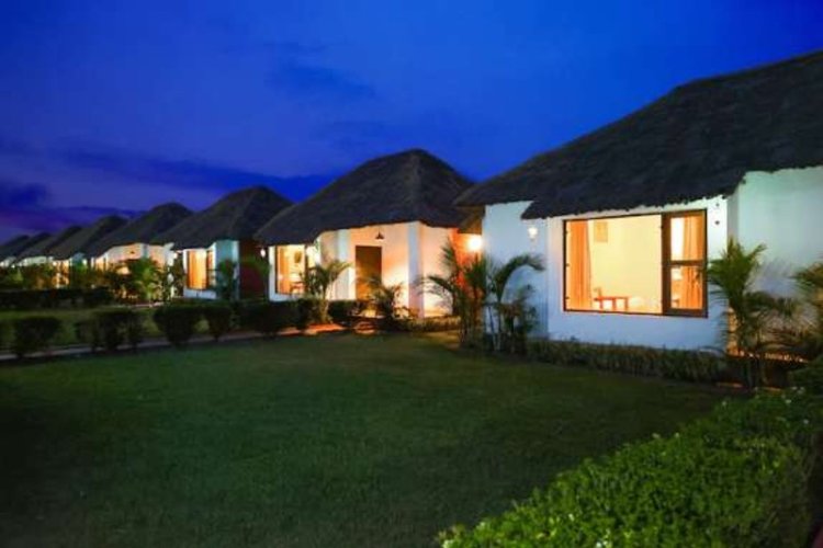 Discover the Best Hotels in Jim Corbett for a Memorable Stay