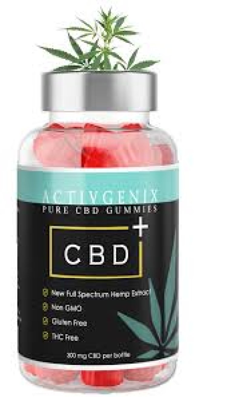 Where to Purchase Activgenix CBD Gummies from the Authority Site?