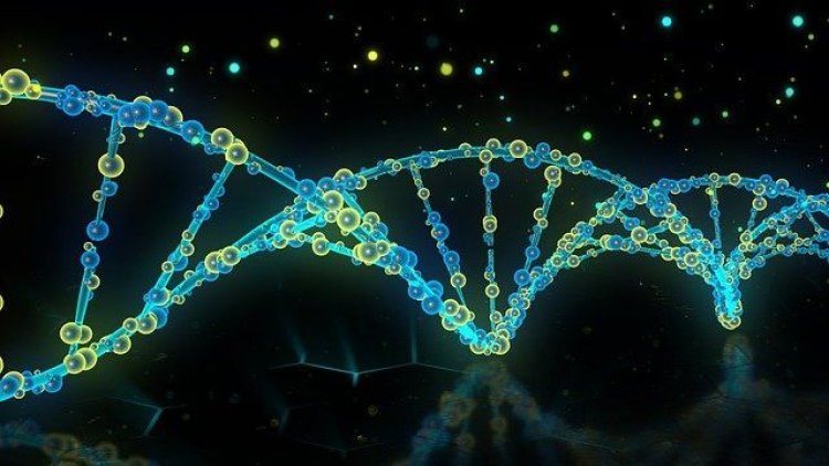 DNA Repair Drugs Market Size, Share, Regional Overview And Global Forecast To 2033