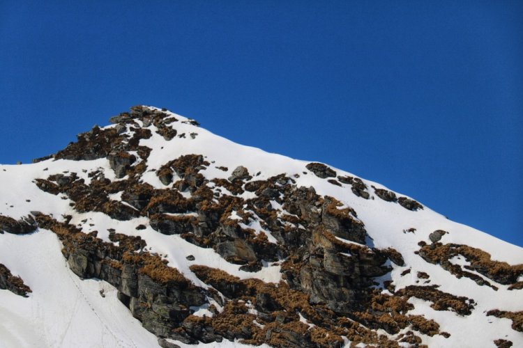 Top Tips for a Memorable Pangarchulla Peak Trek Adventure