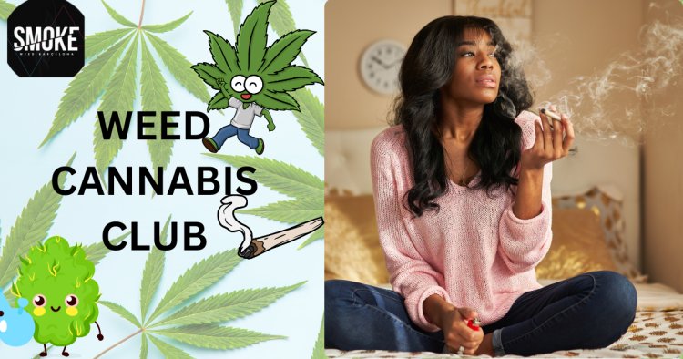 Experience the Best Weed Cannabis Club in Barcelona: Smoke Weed Barcelona