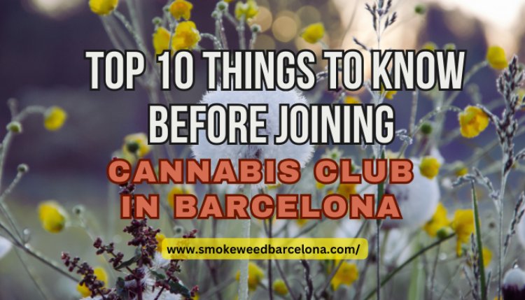 Top 10 Things to Know Before Joining a Cannabis Club in Barcelona