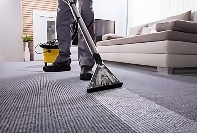 Rug Revamp: Top-Tier Carpet Cleaning Services