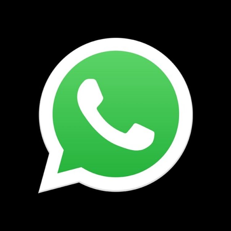 Bulk WhatsApp Marketing Software: Features to Look For