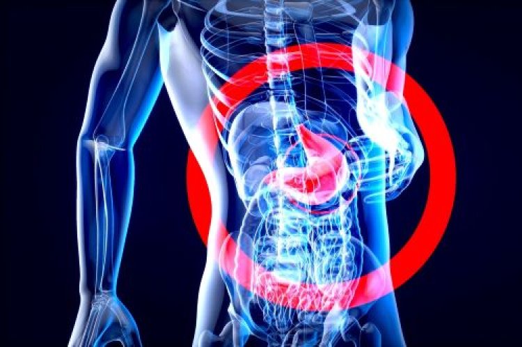 Viral Gastroenteritis Market Forecast 2024-2033: Projected CAGR, Key Drivers, And Trends