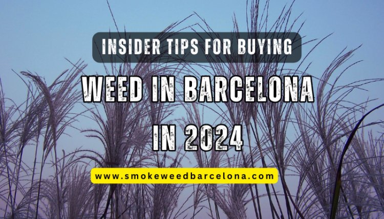 Insider Tips for Buying Weed in Barcelona in 2024