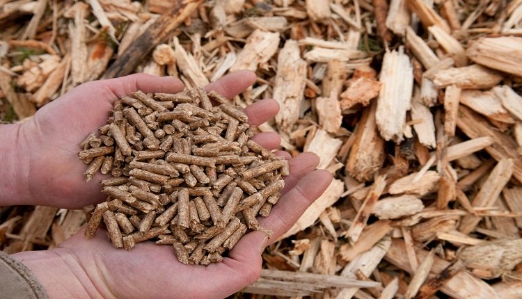 Industrial Wood Pellets Market rise driven by preference for low-carbon energy solutions