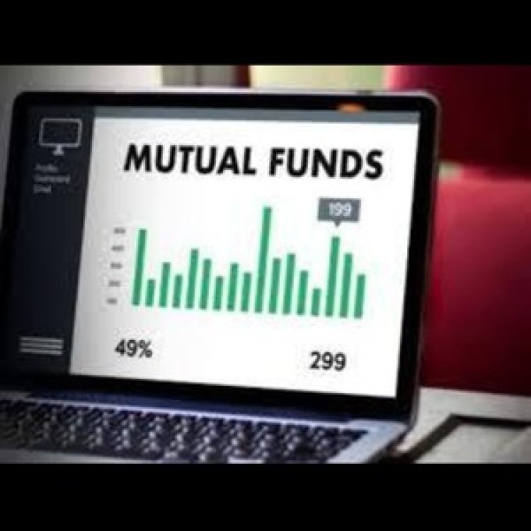 How Does Mutual Fund Software Help Identify Investor Risk Profiles?
