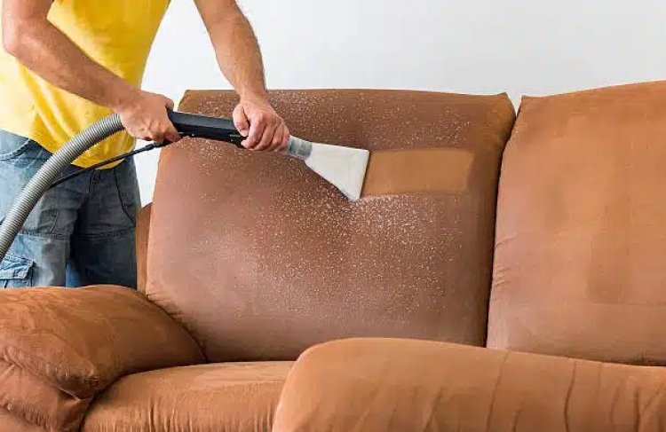 Best Sofa Cleaning Services in Lahore and Pesticide Control Service Guide