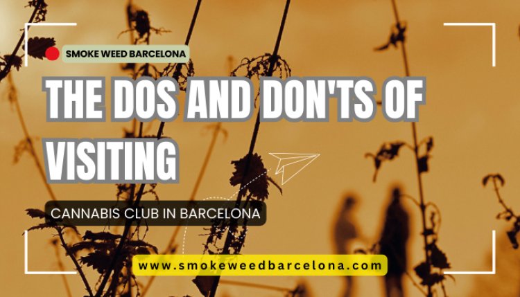 The Dos and Don'ts of Visiting a Cannabis Club in Barcelona