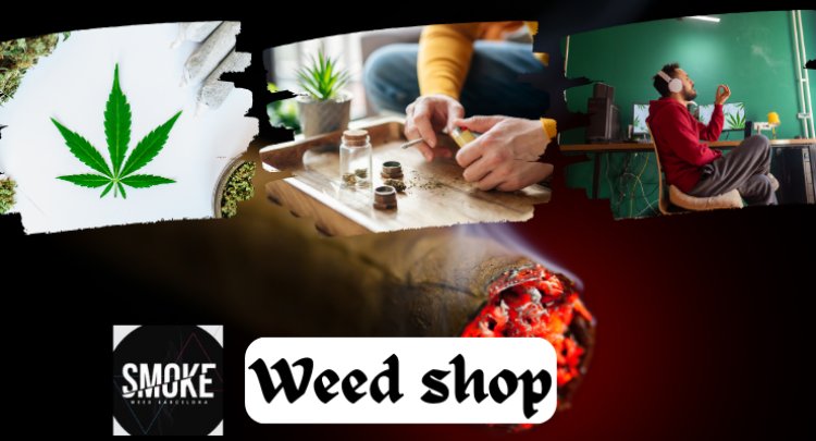 Smoke Weed Barcelona: Your Premier Destination for Top-Quality Cannabis