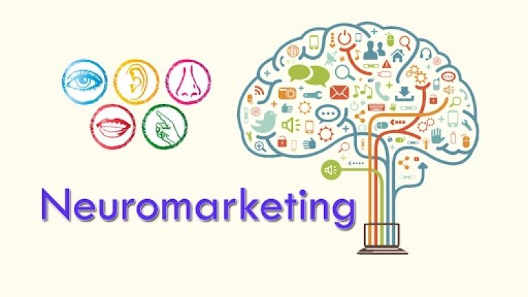 What is Neuromarketing and How Does it Work?