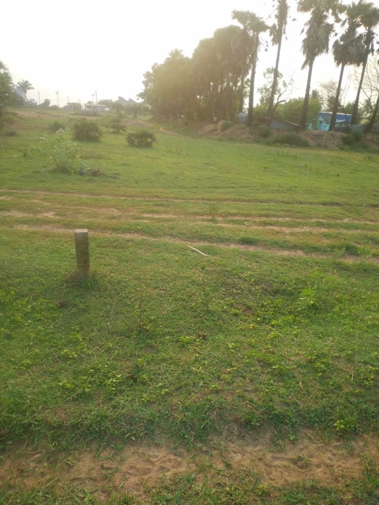 	DTCP APPROVED PLOTS FOR SALE AT ARANVOYAL.