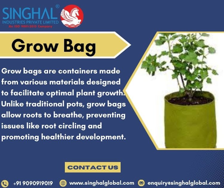 Top Benefits of Grow Bags for Healthy Plant Growth