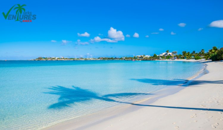 Ultimate Guide to the Best Things to Do in Turks and Caicos