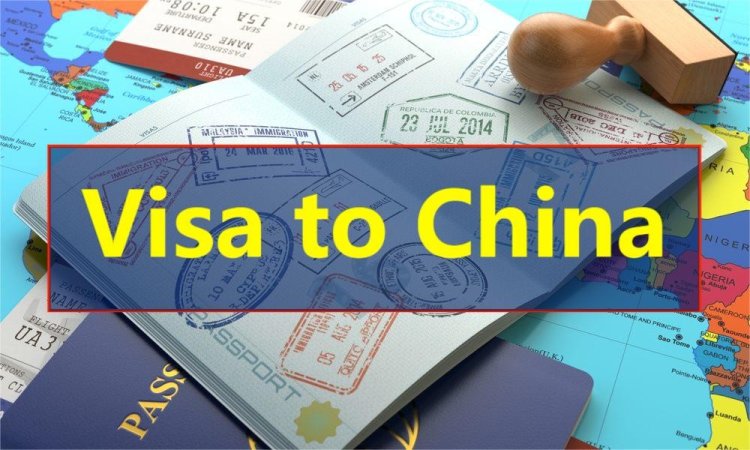 Understanding the Visa Application Process