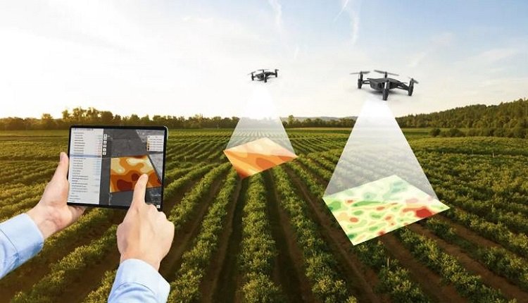 Digital Soil Mapping Market: ML and AI Solutions for Precision Soil Mapping