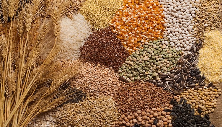Commercial Seeds Market: Precision Farming Awareness Initiatives