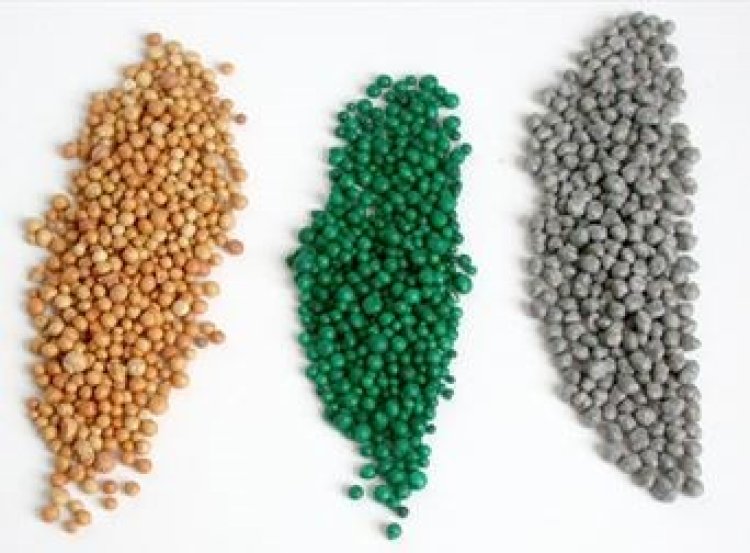 Controlled Release Fertilizer Market Size, Insights Forecast, Growth, Trends 2024-2033