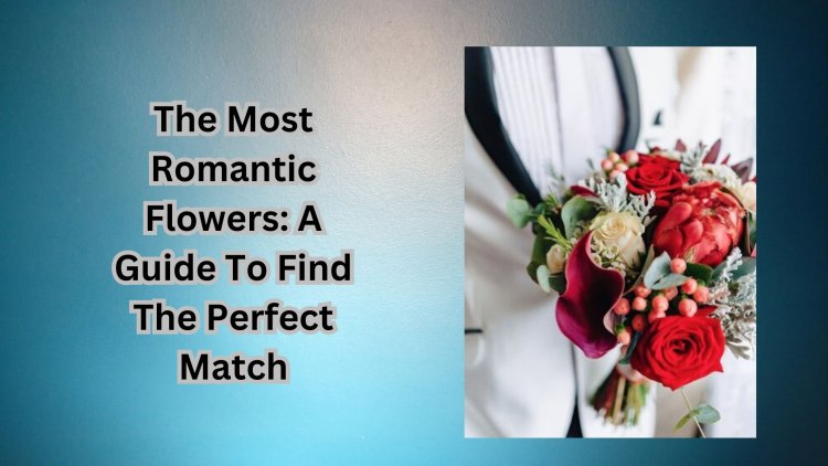 The Most Romantic Flowers: A Guide To Find The Perfect Match