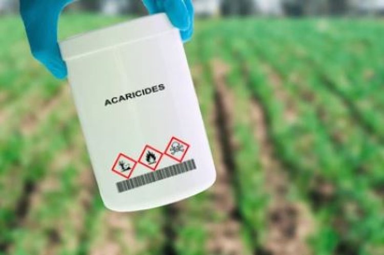 Acaricides Market Gaining Traction with Demand for Food Production