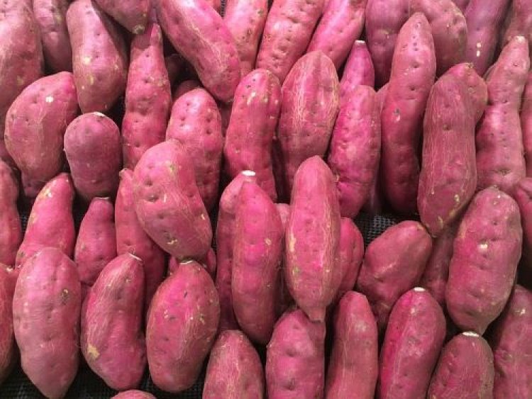 Global Sweet Potatoes Market Growth Analysis 2024 – Forecast Market Size And Key Factors Driving Growth