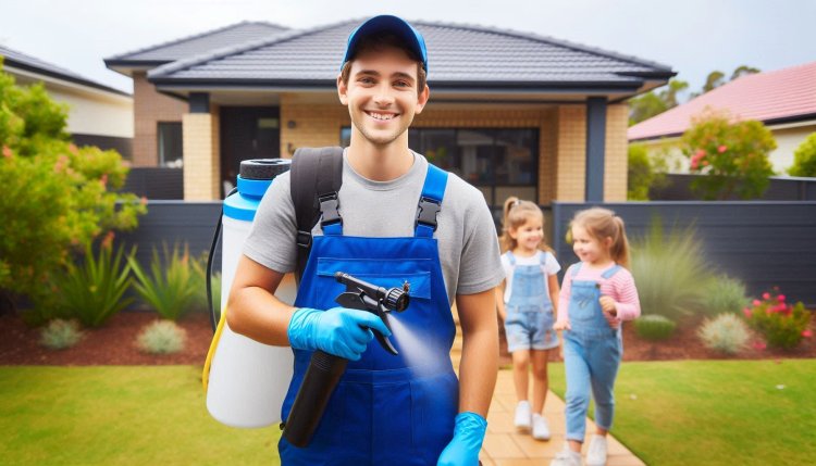 Affordable Pest Control Solutions in Melbourne