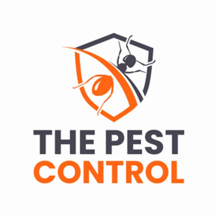 Commercial Pest Control Services Melbourne