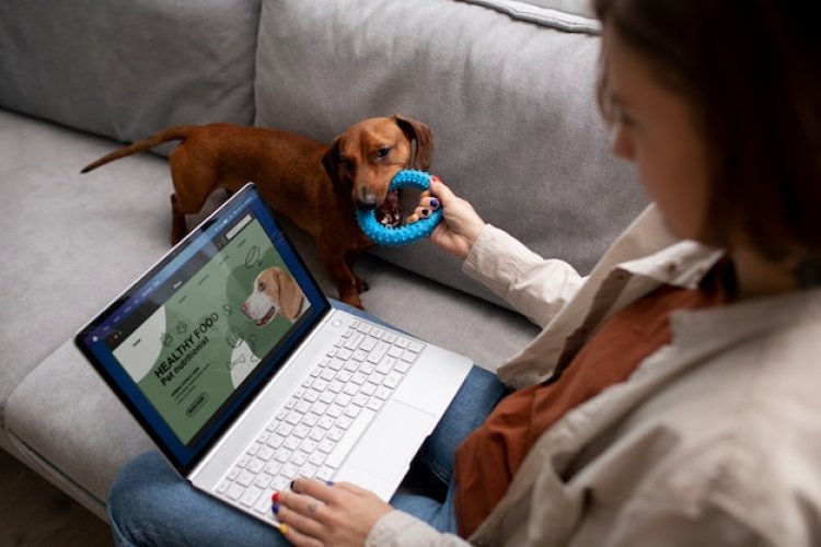 Veterinary Telehealth Market Forecast 2024-2033: Projected CAGR, Key Drivers, And Trends