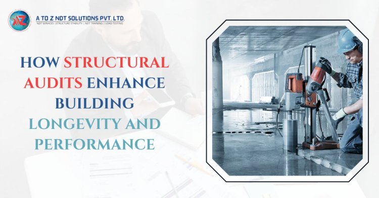 How Structural Audits Enhance Building Longevity And Performance