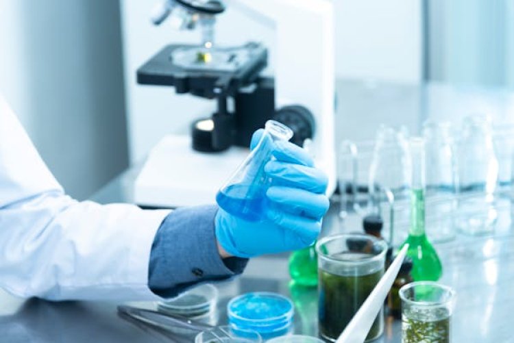 Chemicals Global Market 2024 - By Share, Growth, Demand, Trends, Forecast To 2033