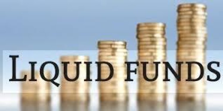 Does the Top Mutual Fund Software For IFA in India Offer Liquid Funds with Instant-Redemption?