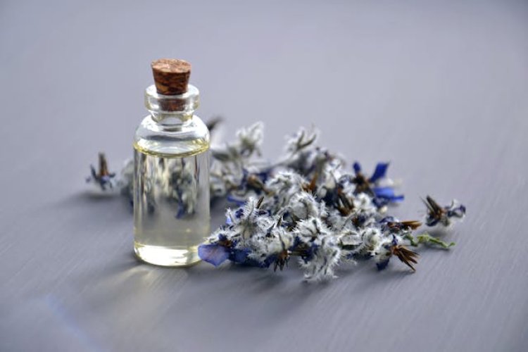 Global Essential Oils Market Report 2024: Market Size, CAGR