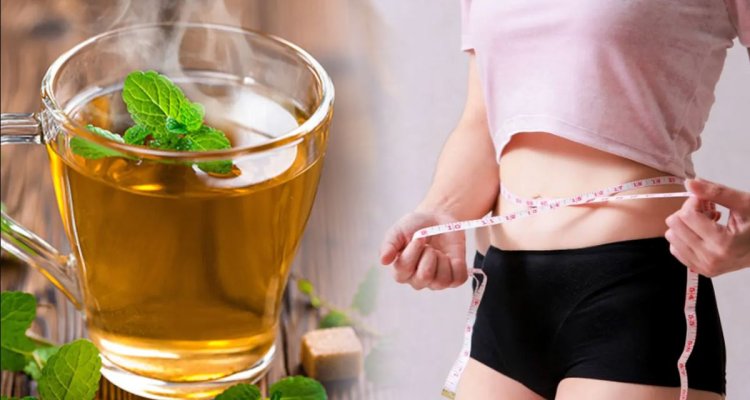 Want to Loose Weight without GYM Drink Nilgiri Tea Pack | The Real Secrete is Here