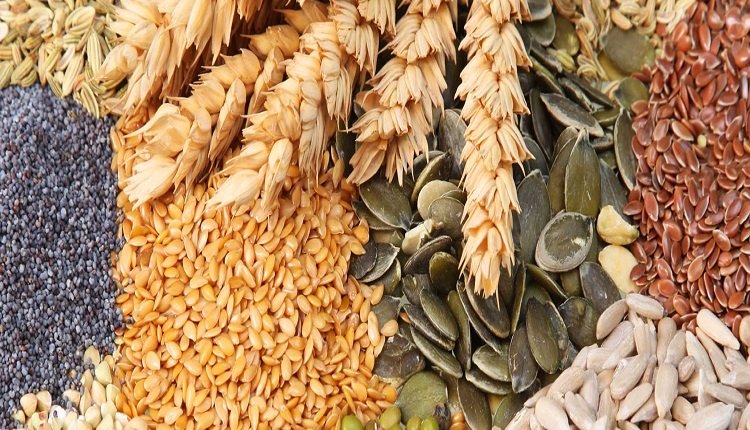 India Agricultural Commodities Market to Witness Growth on Back of Technological Advancements
