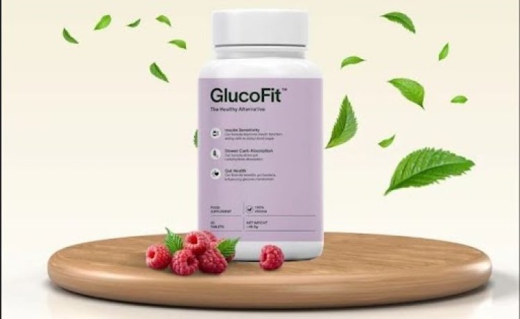 GlucoFit Dragons Den: A Complete Review Elevate Your Wellness Routine